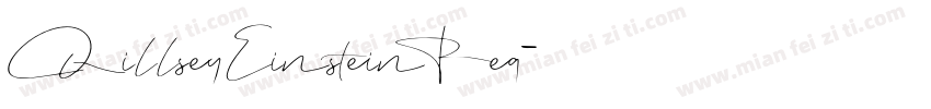 Qillsey Einstein Reg字体转换